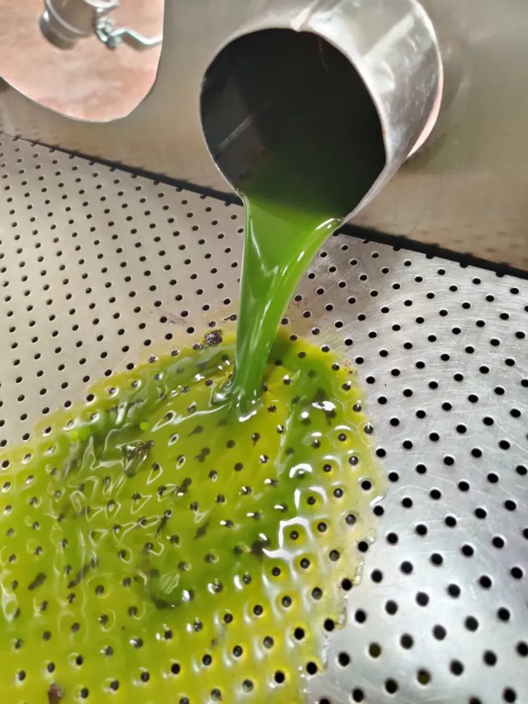 Freshly pressed green avocado oil pouring from a steel spout